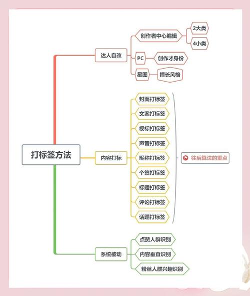 小红书带货全流程解析：四大关键环节，从定位到转化的完整指南