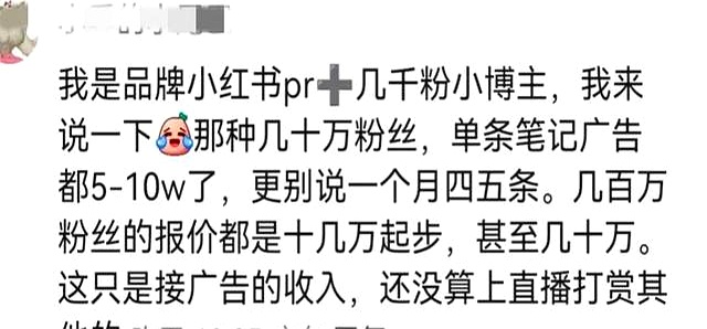 小红书直播带货收入多少_网红行业压力_网红赚钱真相
